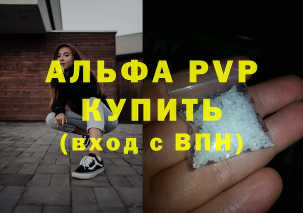 эйфоретик Бородино