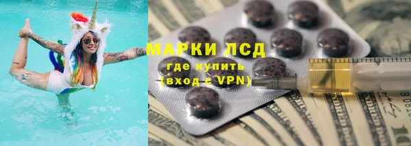 эйфоретик Бородино