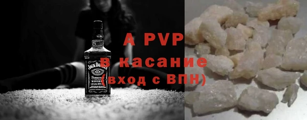 эйфоретик Бородино