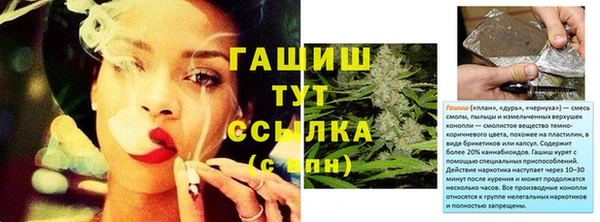 эйфоретик Бородино