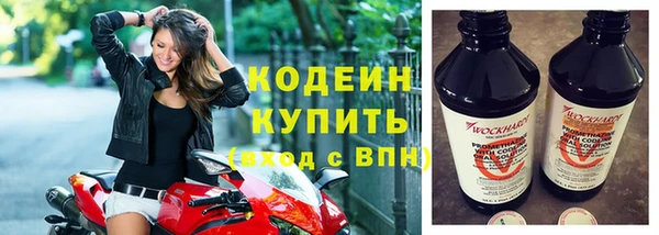 эйфоретик Бородино