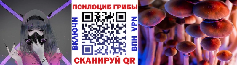 дарнет шоп  Волжский  Псилоцибиновые грибы Cubensis 